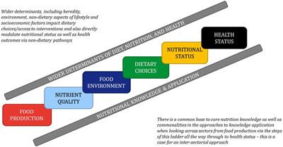 Perspectives from the Third International Summit on Medical Nutrition Education and Research